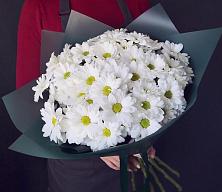 Букет цветов из:  Хризантемы #REPLACE_PRED# Краснооктябрьском