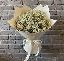 Букет цветов из:  Ромашки #REPLACE_PRED# Краснооктябрьском