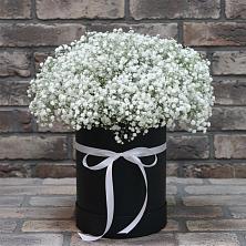 Цветочная композиция из Гипсофила в шляпной коробке в Краснооктябрьском
